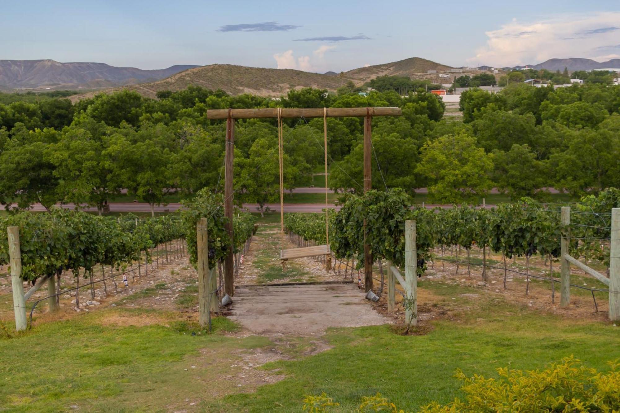 Hotel Vinicola Parvada By Lumina Parras de la Fuente Esterno foto